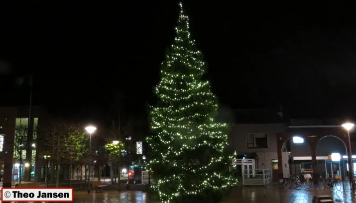 kerstboomdeovertuin