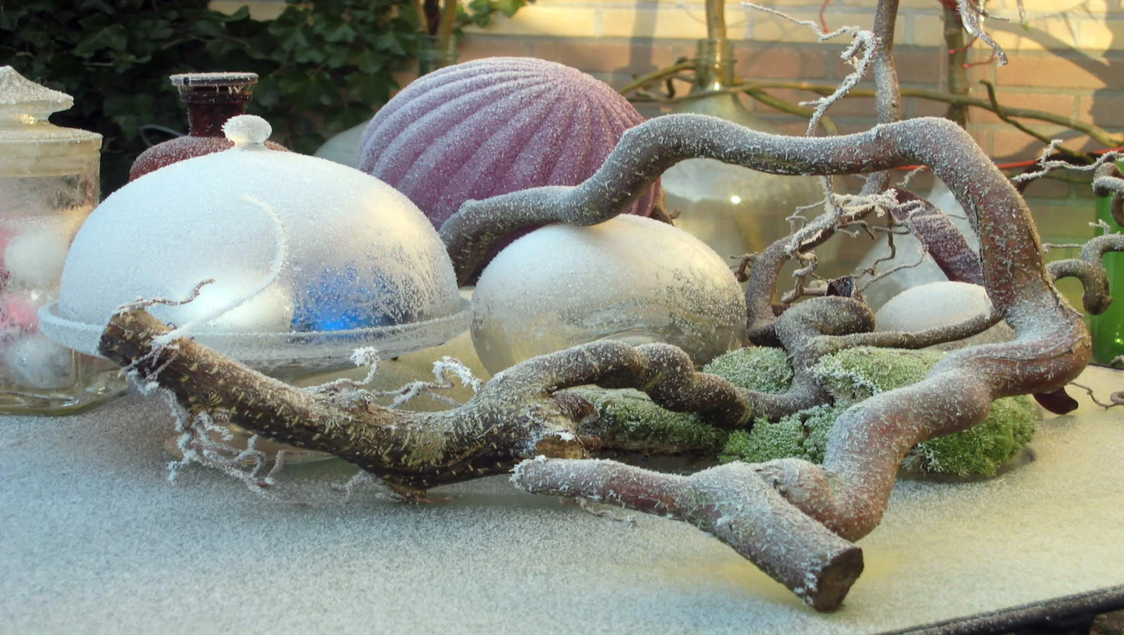kerstworkshop groei bloei veluwezoom