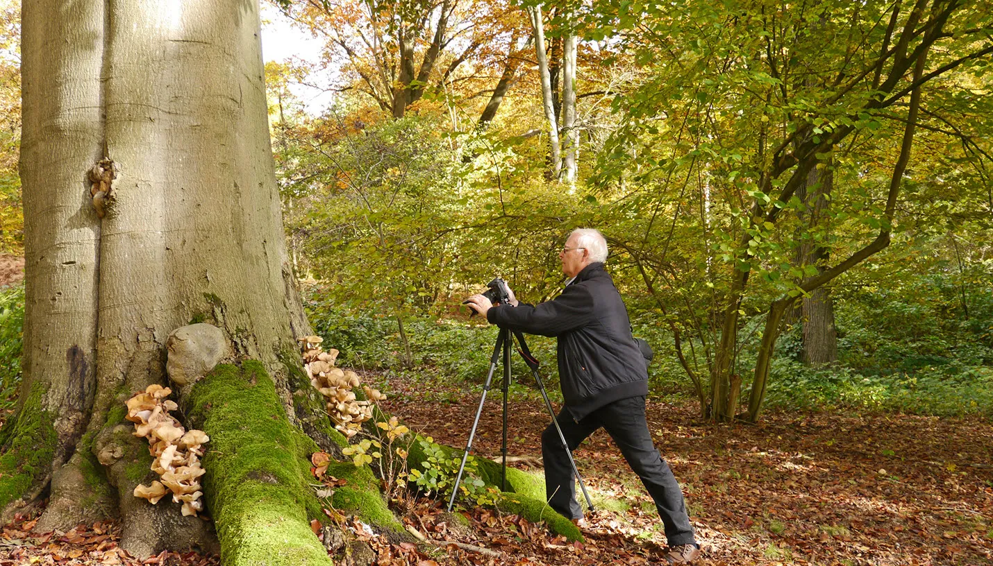 kiek de herfst