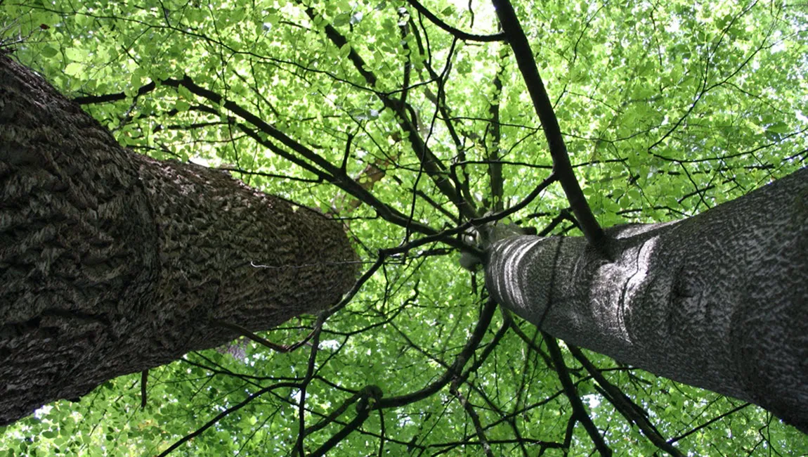 klimaatslim landschapsbeheer1 probos