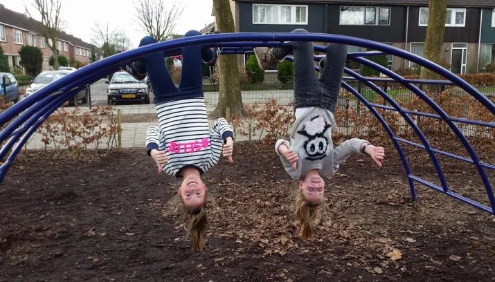 klimboog de kroeseboom
