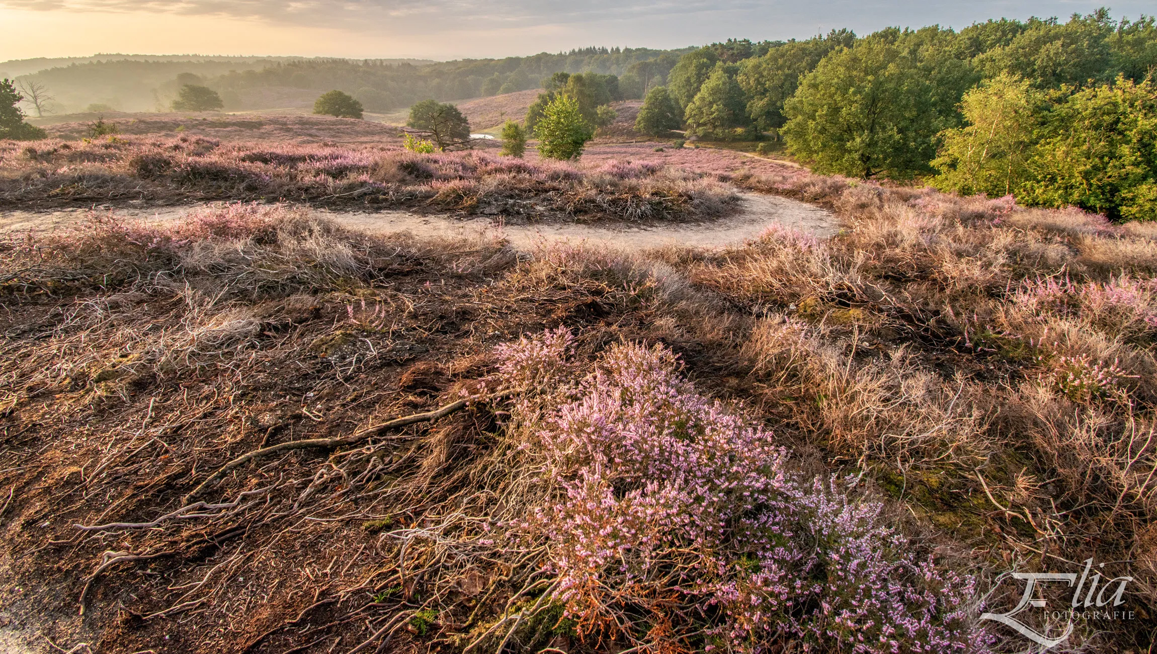 landschap elia fotografie