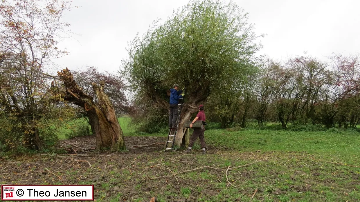 lathumse veerweg 7 11 15 001