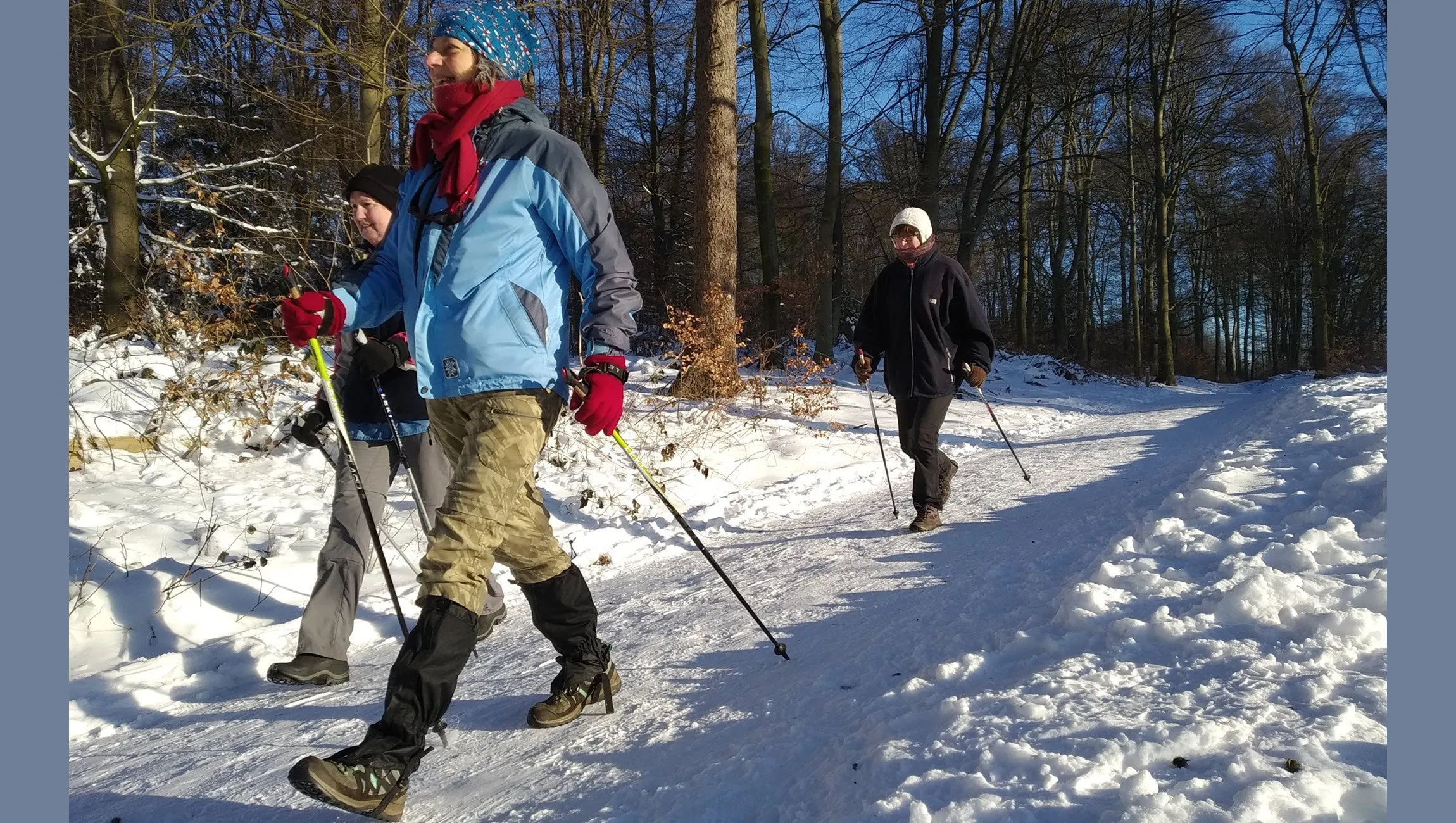 nordic walking in de sneeuw av gelre