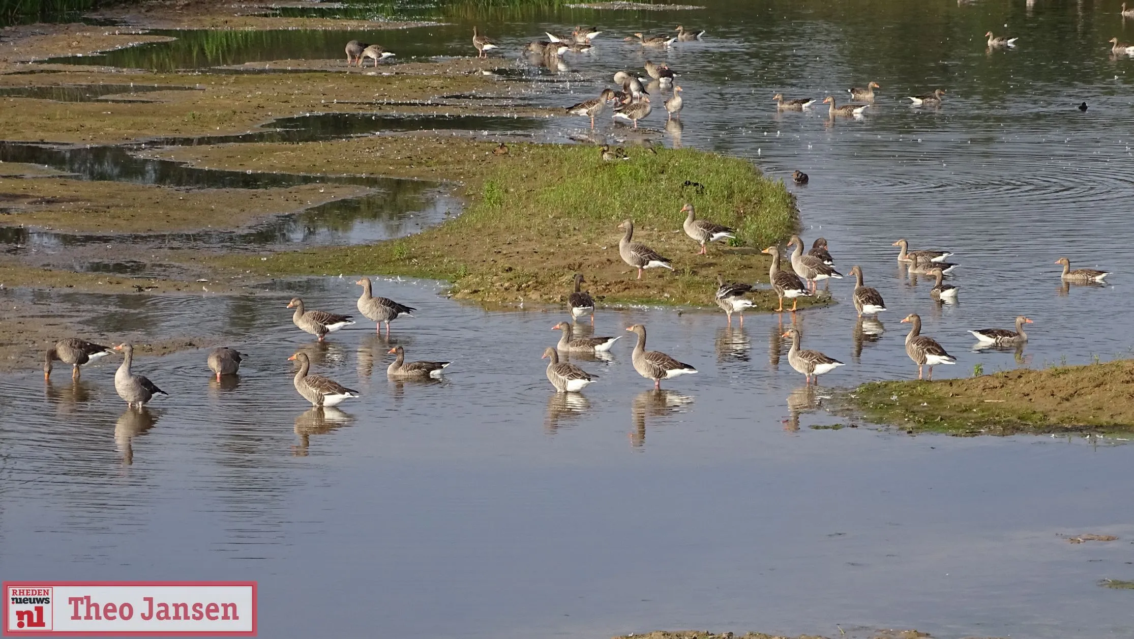 officile opening velperwaarden natuurmonumenten 2019 09 08 12