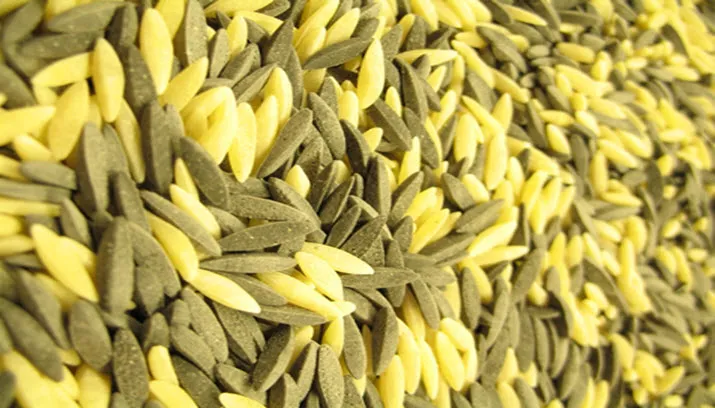 orzo