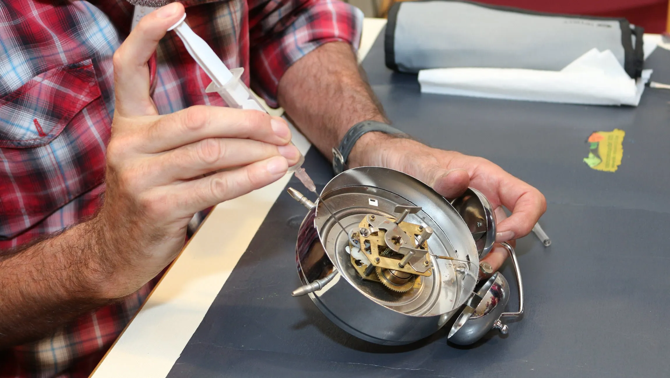 repair caf dieren