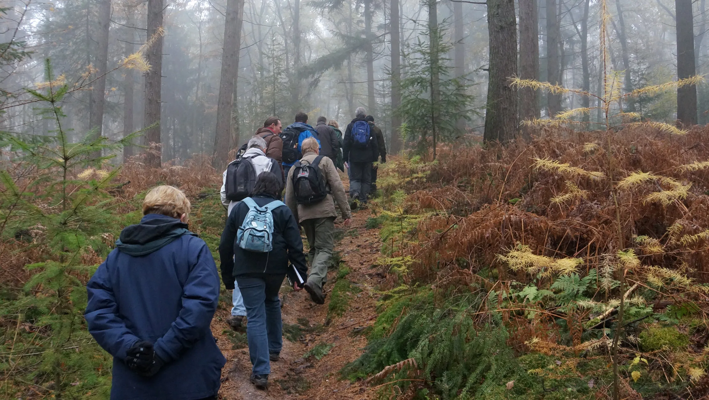 rozendaalse bos corlne van den camp