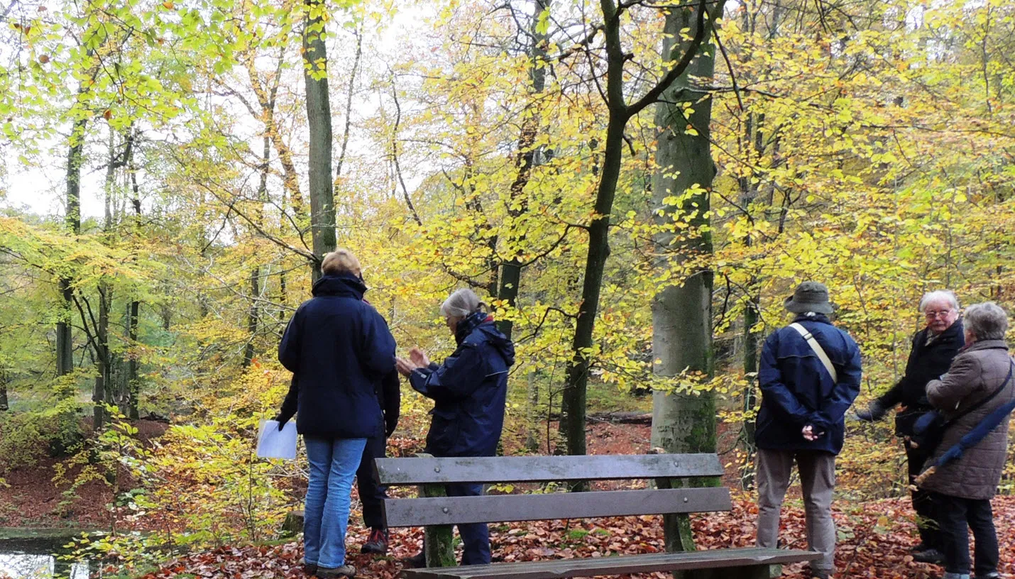 rozendaalse bos corlne van der camp