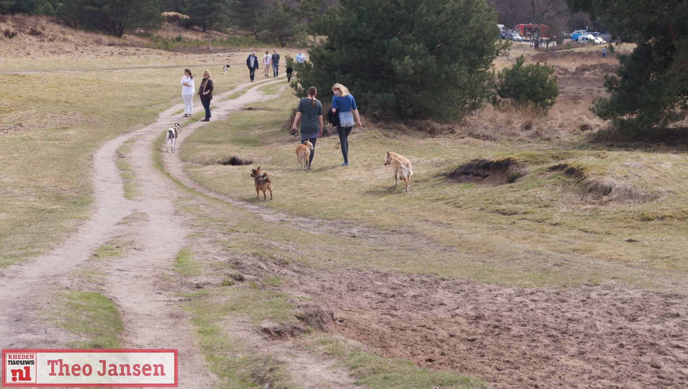 rozendaalse veld rhedennieuwsnl 2