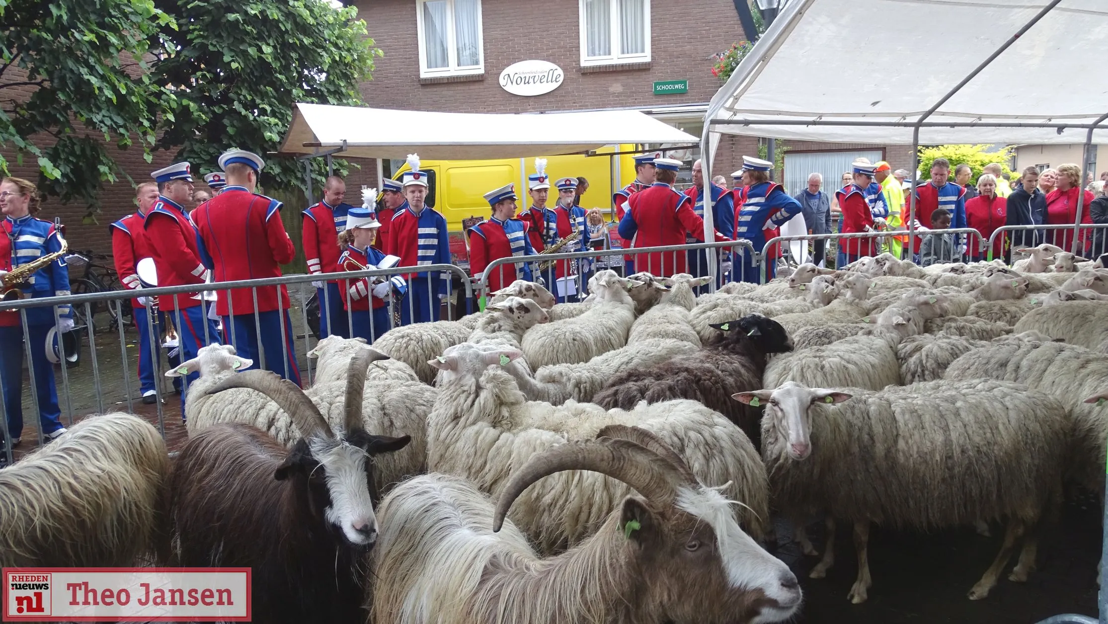 schaapscheerdersfeest 2019 19