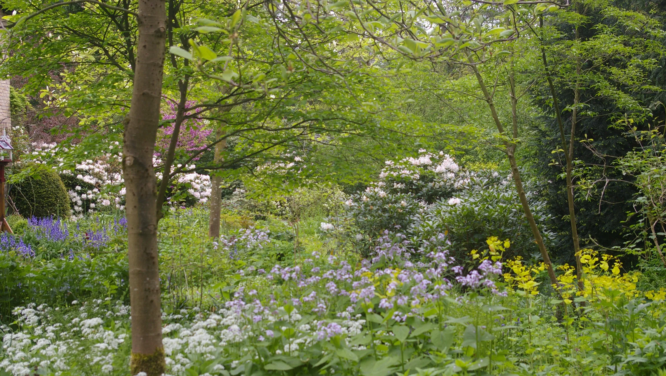schaduwplanten tneke makel