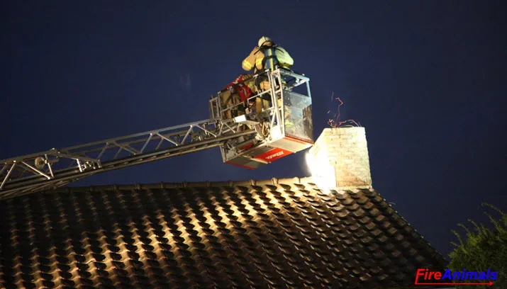 simon rijnbende fireanimals