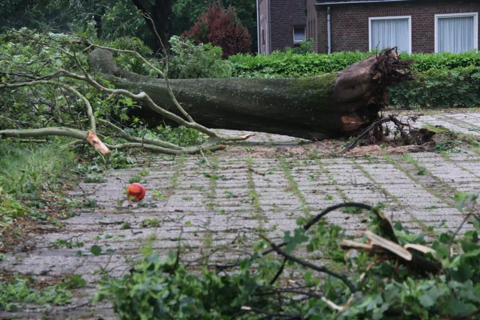 storm rheden 2019 06 05 01