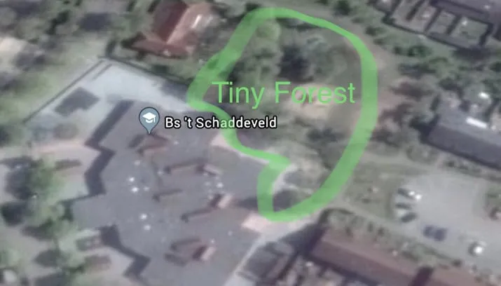 tiny forest rheden basisschool t schaddeveld dieren2