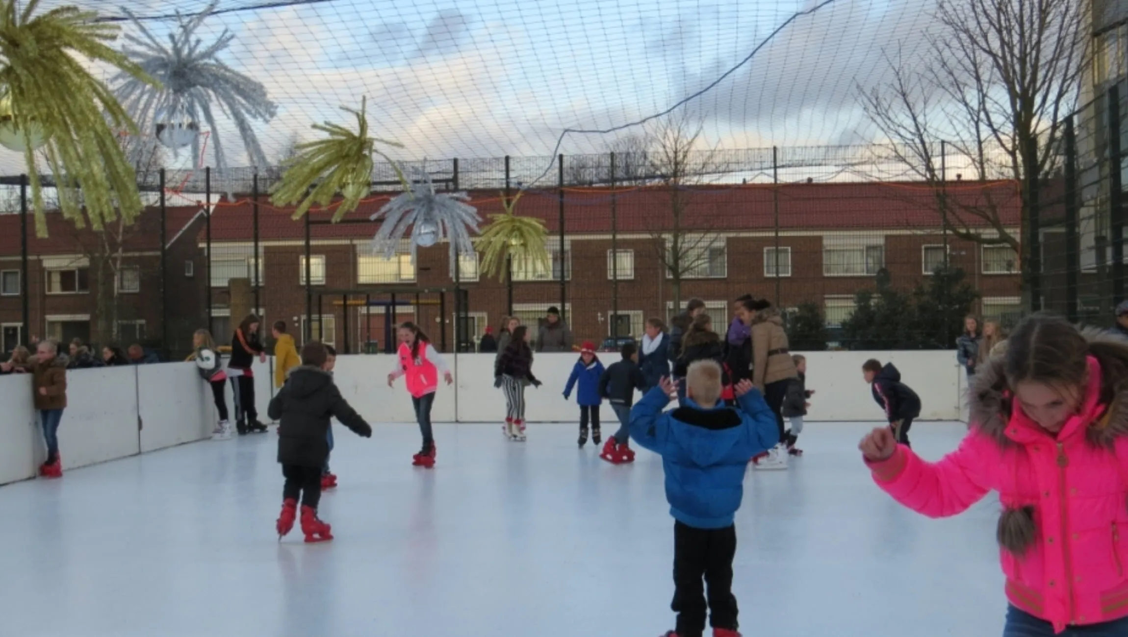 velp on ice 2020 rhedennieuwsnl