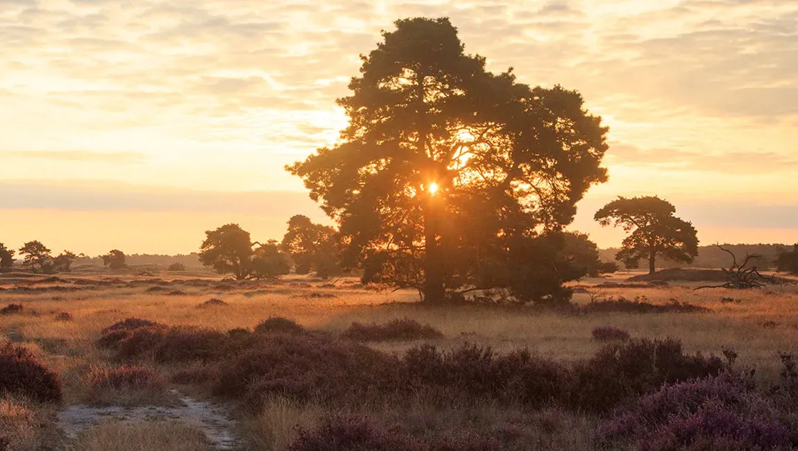 visitveluwe