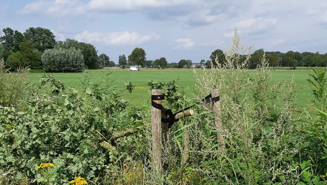 waterschap vallei veluwe bomenkap