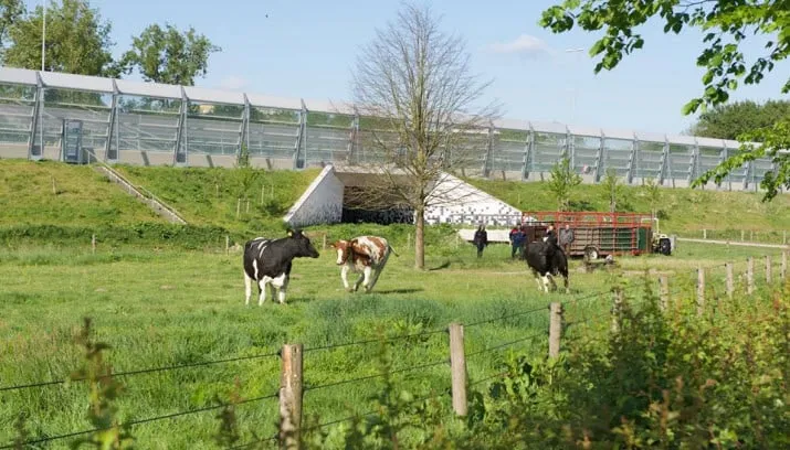 weidewerkdag 1
