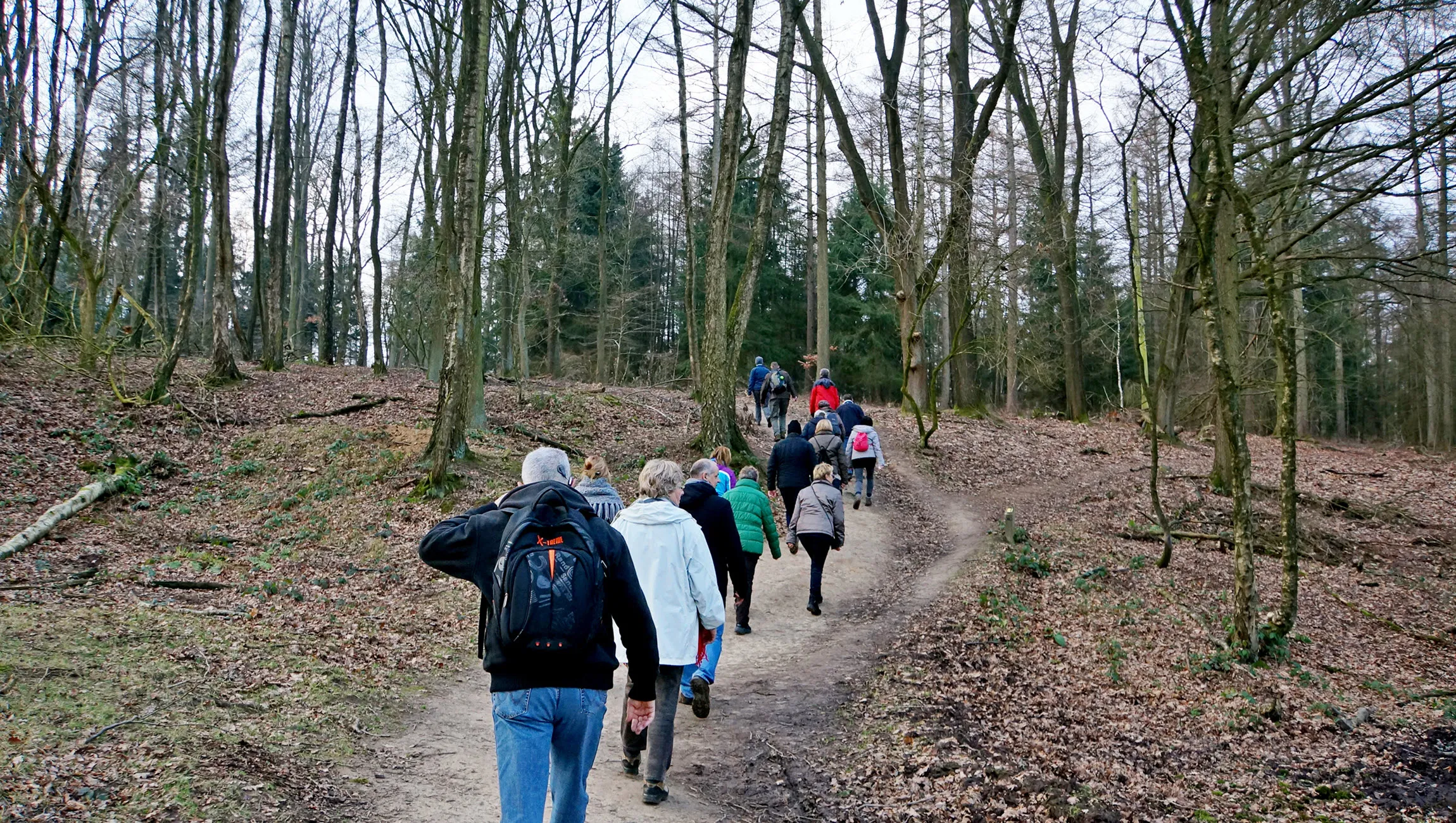 zwarte bulten rozendaalse bos ivn oost veluwezoom