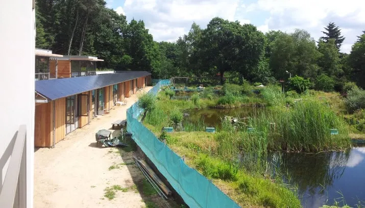 zwembad beekhuizen
