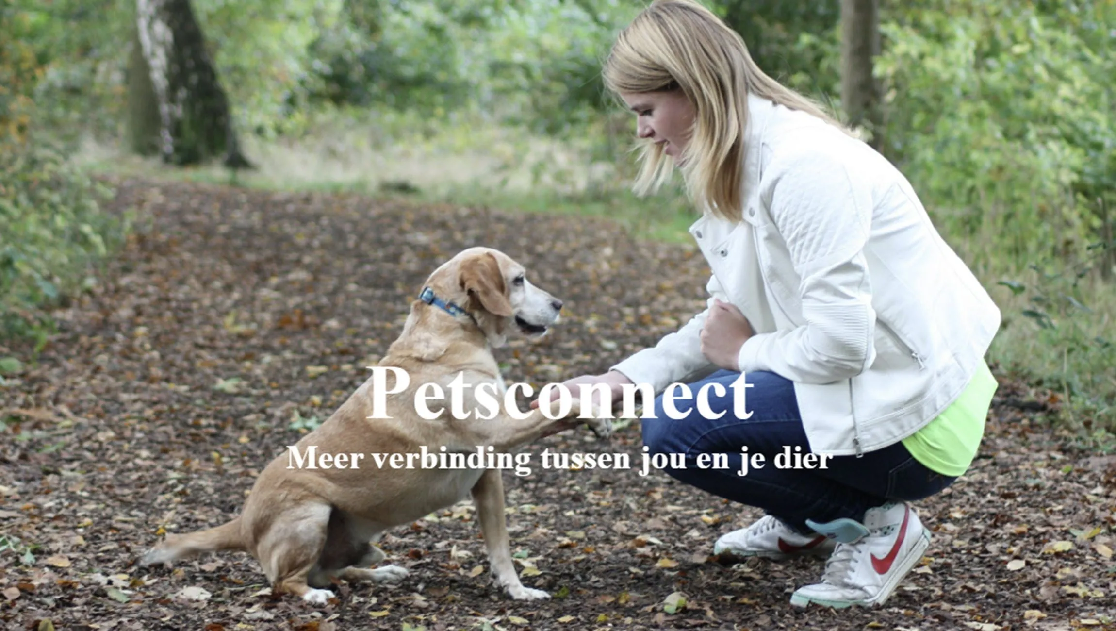 petsconnect ancilla van oirsouw