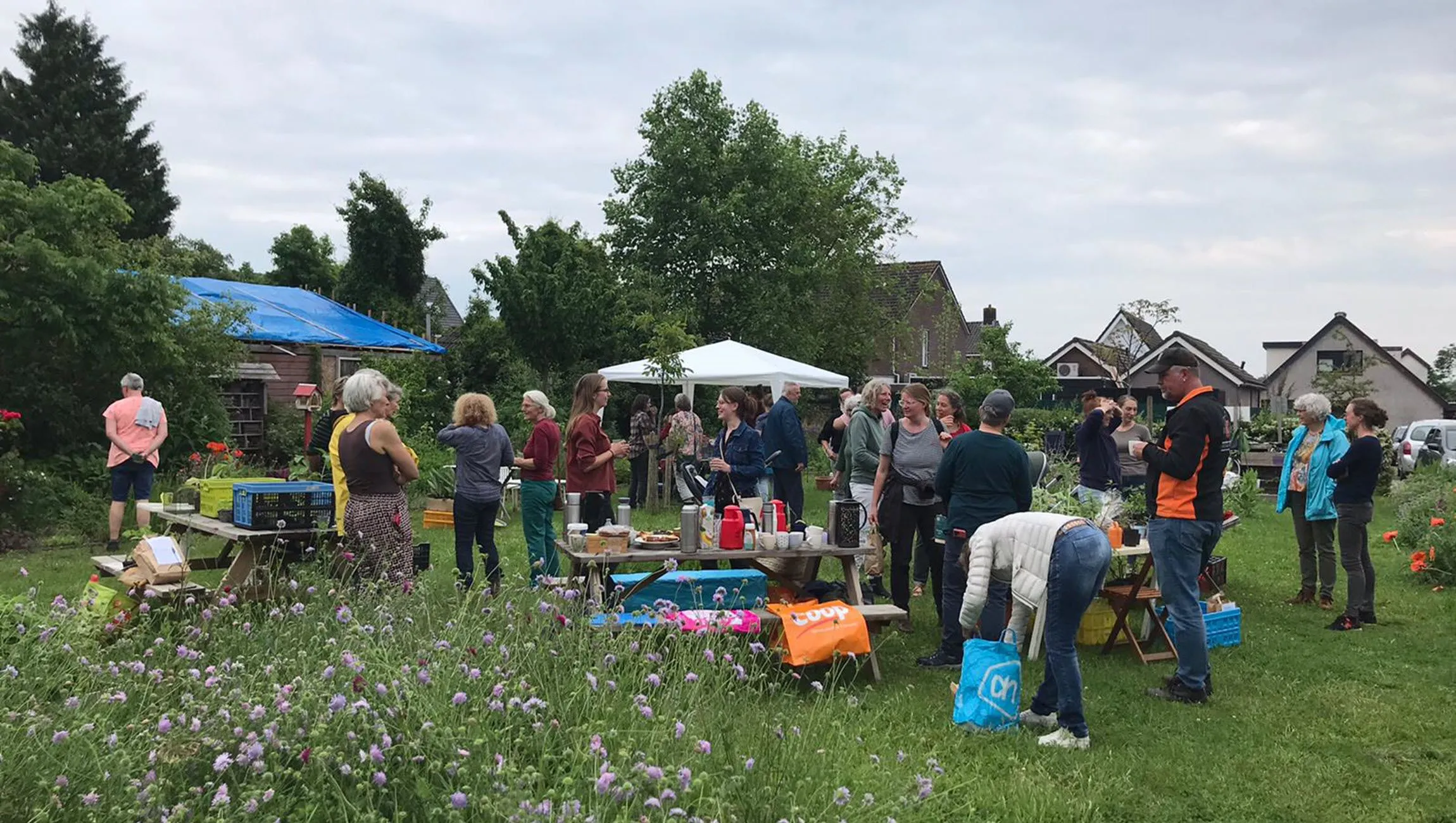 plantenruilbeurs in de dorpstuin van rheden rietta veldhuis