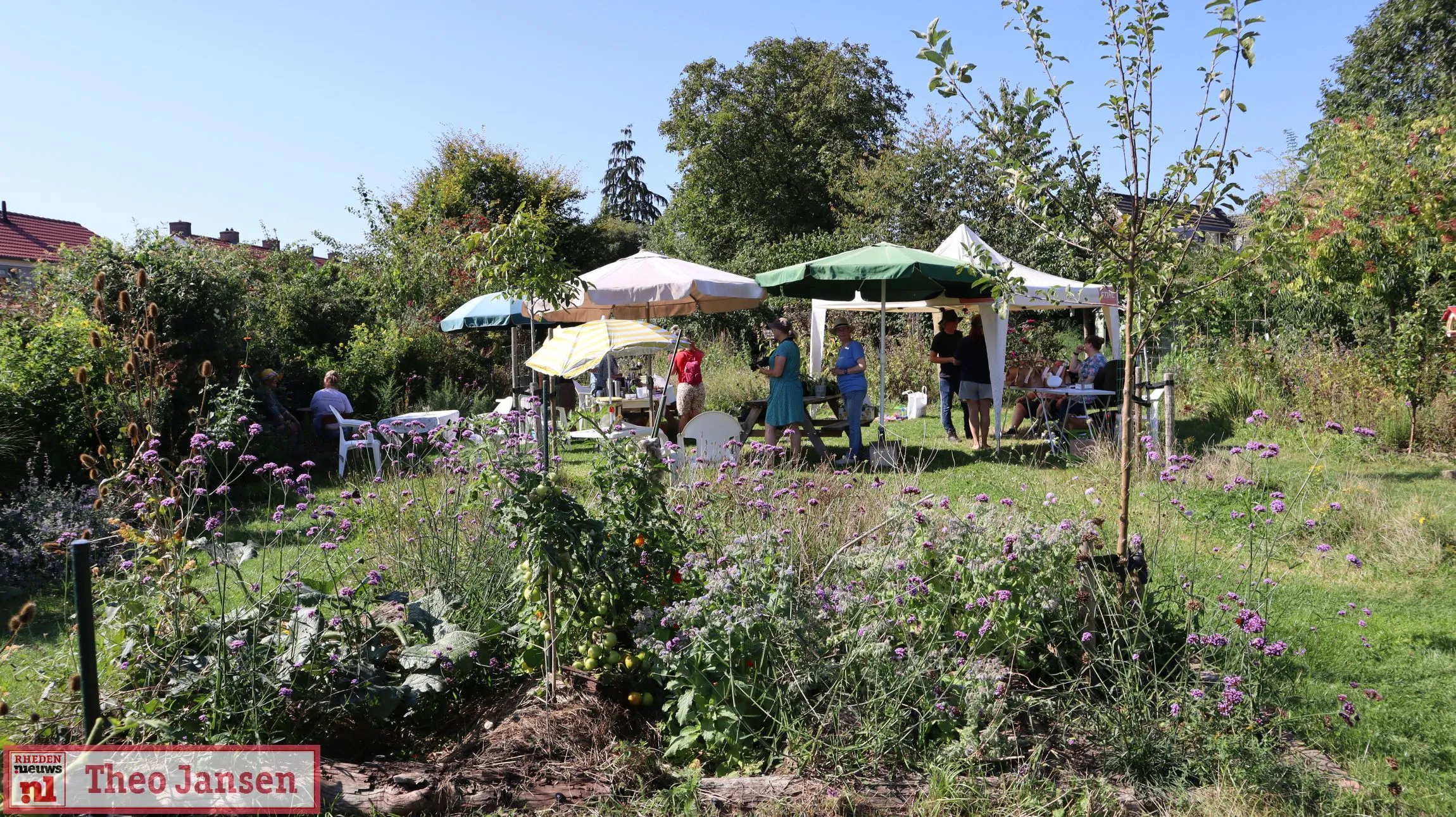open dag in de dorpstuin rheden trekt bezoekers 07 09 2024 14