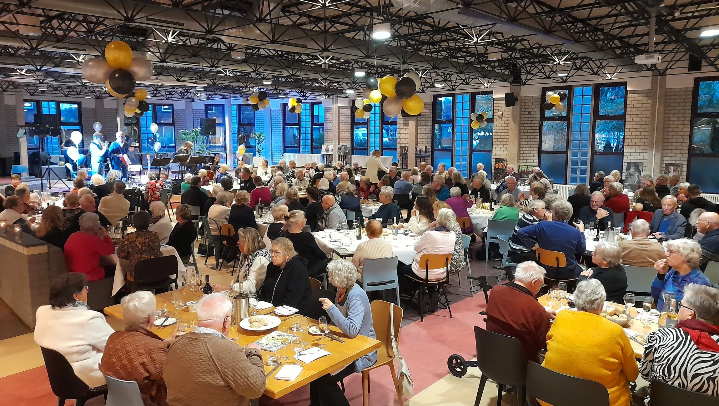 vrijwilliger vip event incluzio rheden