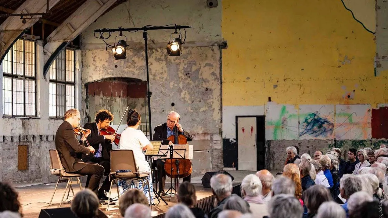 muziekfestival zoom foppe schut