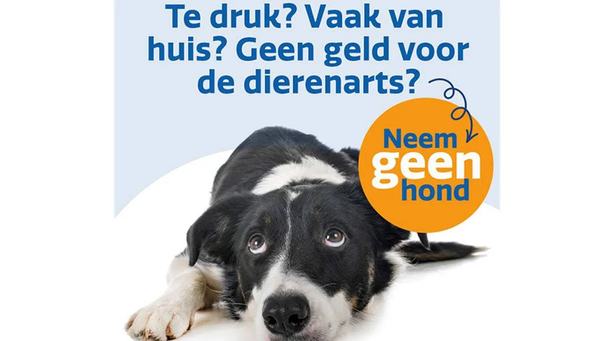 koninklijke hondenbescherming campagne