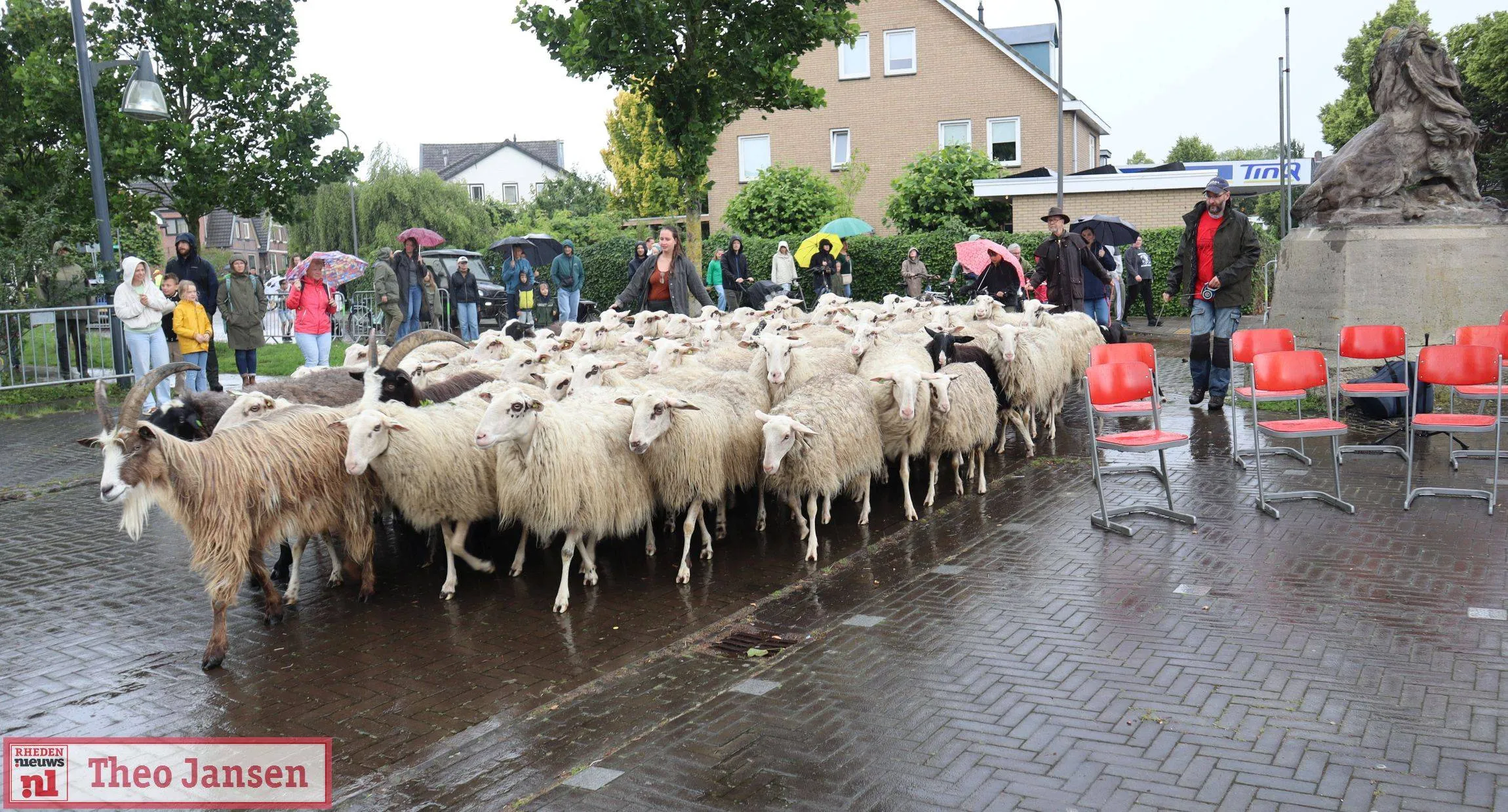 bonte schaap festival 2025 1