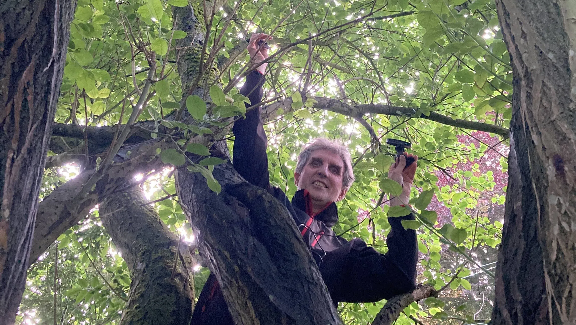 Midzomeravond bij Station Ellecom – Kunst, natuur en verhalen op de langste dag