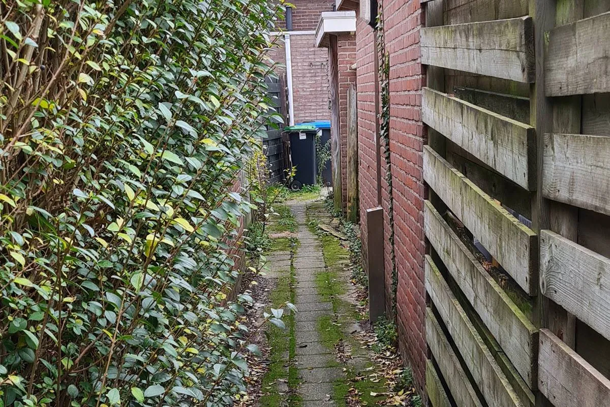 achterpad RN