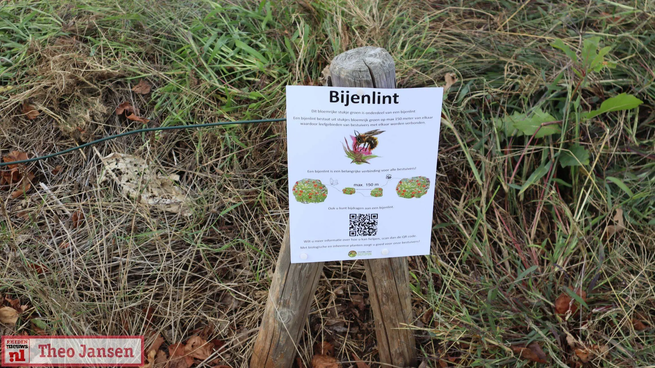 Bijenlint Dieren-West - Rondje Zoom! 13-09-2025 (1)
