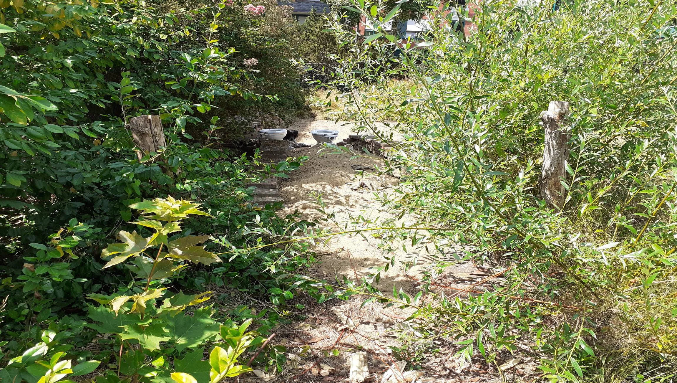 Cursus Zoomtuinen - IVN Oost-Veluwezoom