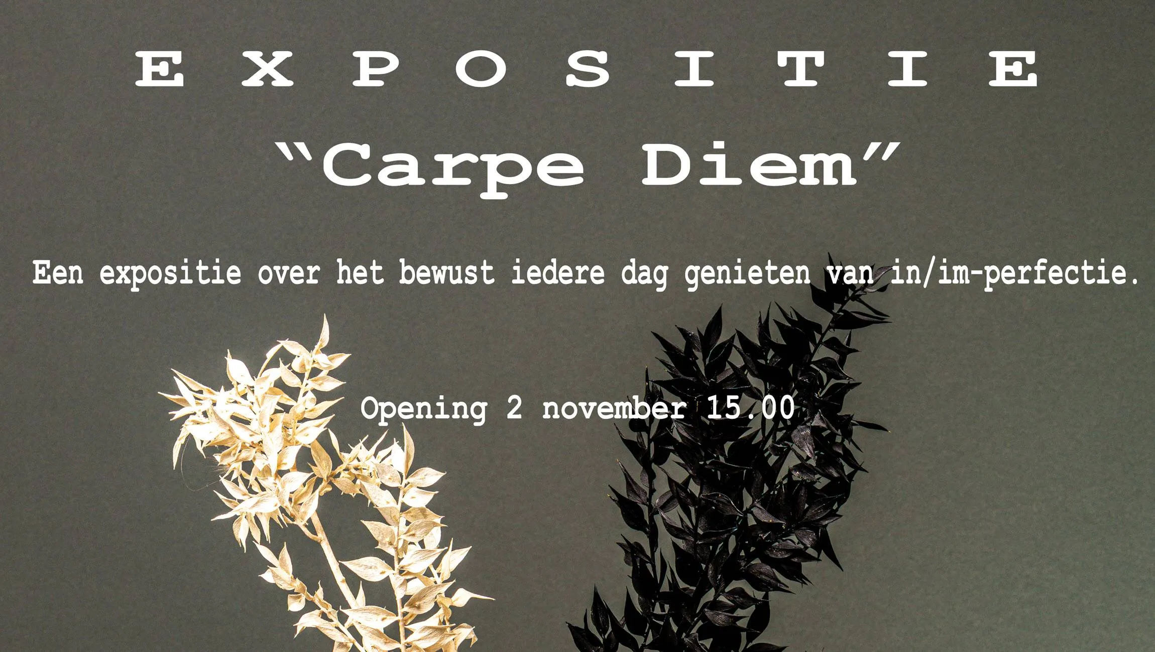 Expositie Carpe Diem1 - Nieuwe Ruimte Velp