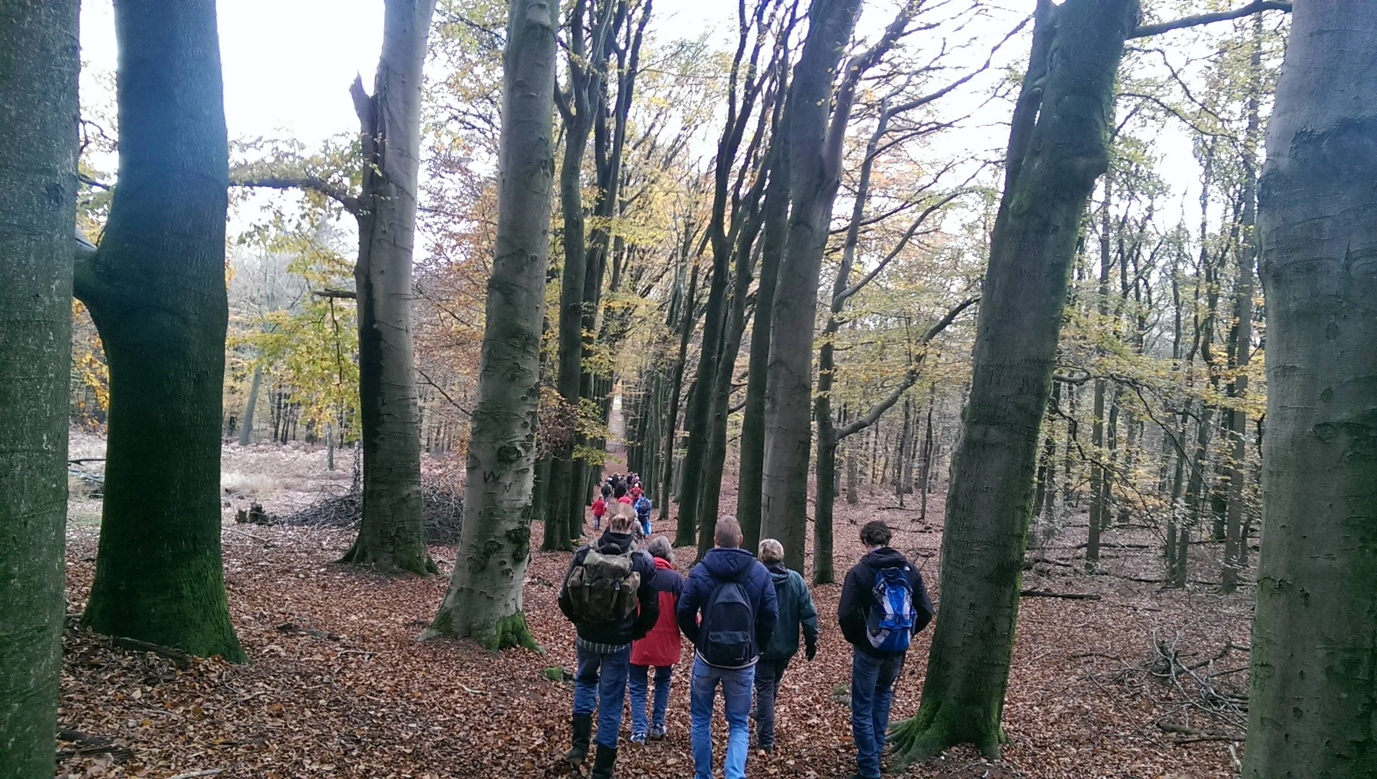 IVN Wandeling - Verborgen bosgeheimen - Corlène van den Camp
