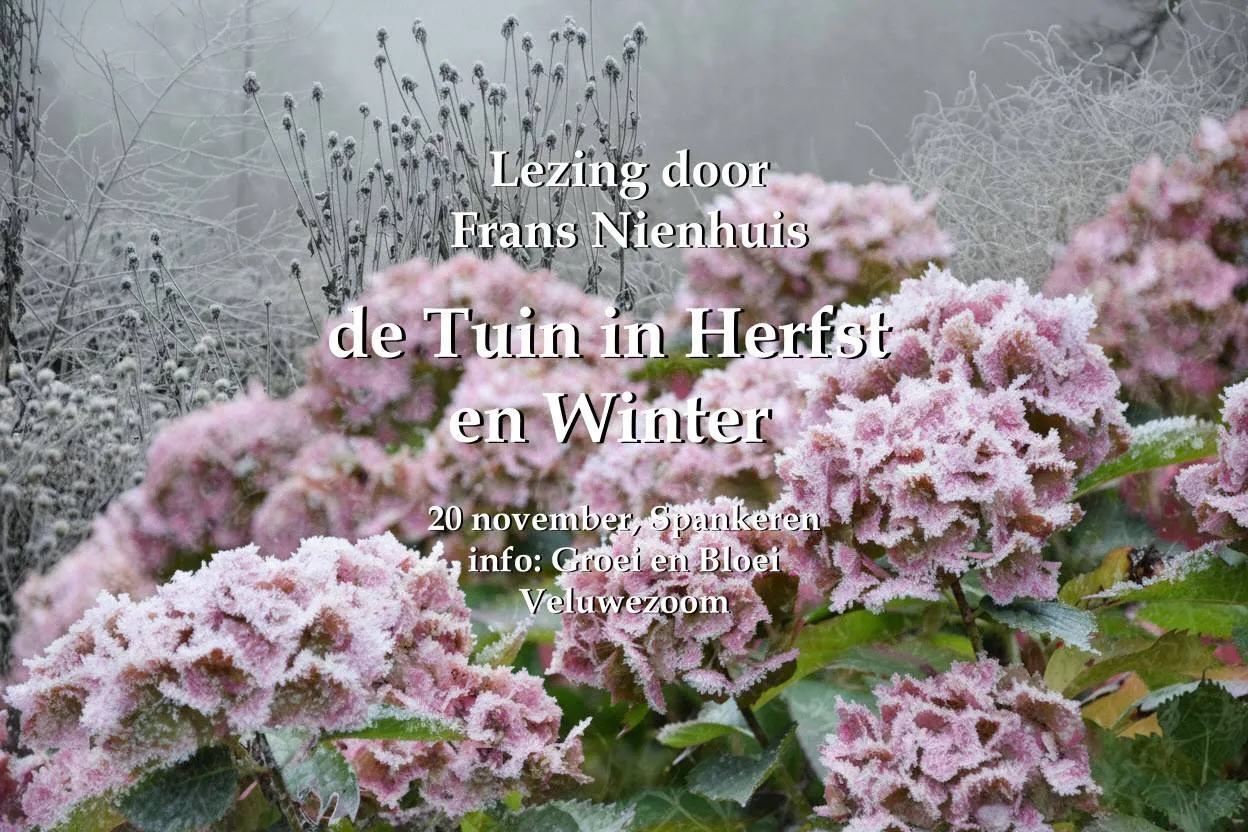 lezing herfst winter Spankeren  Frans Nienhuis