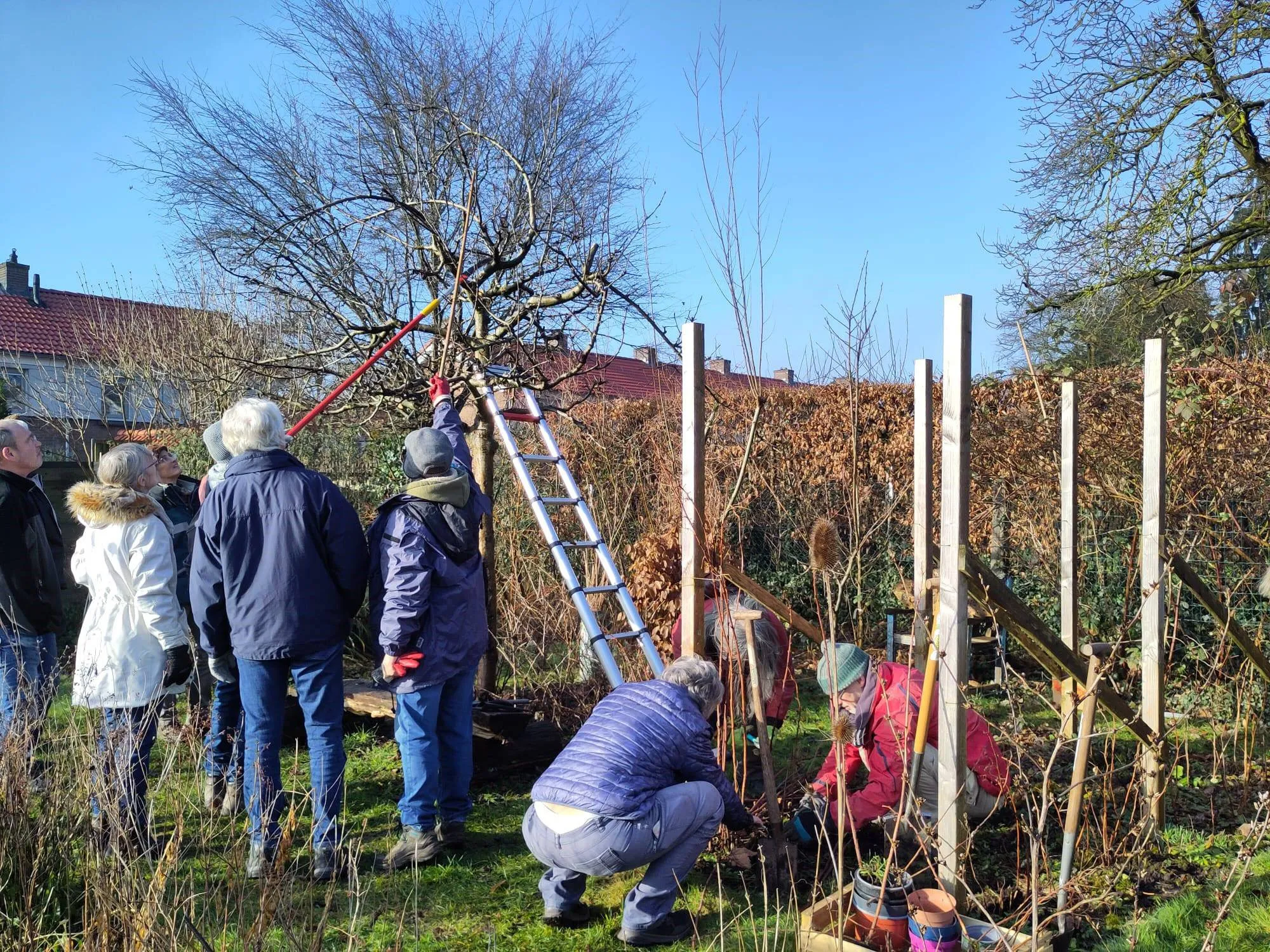 Dorpstuin foto Esther Dieker