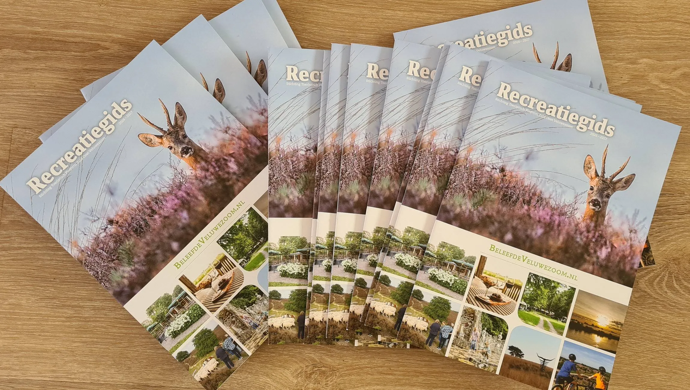 RN recreatiegids 2026