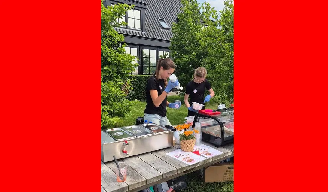 Het Aardbeien Meisje