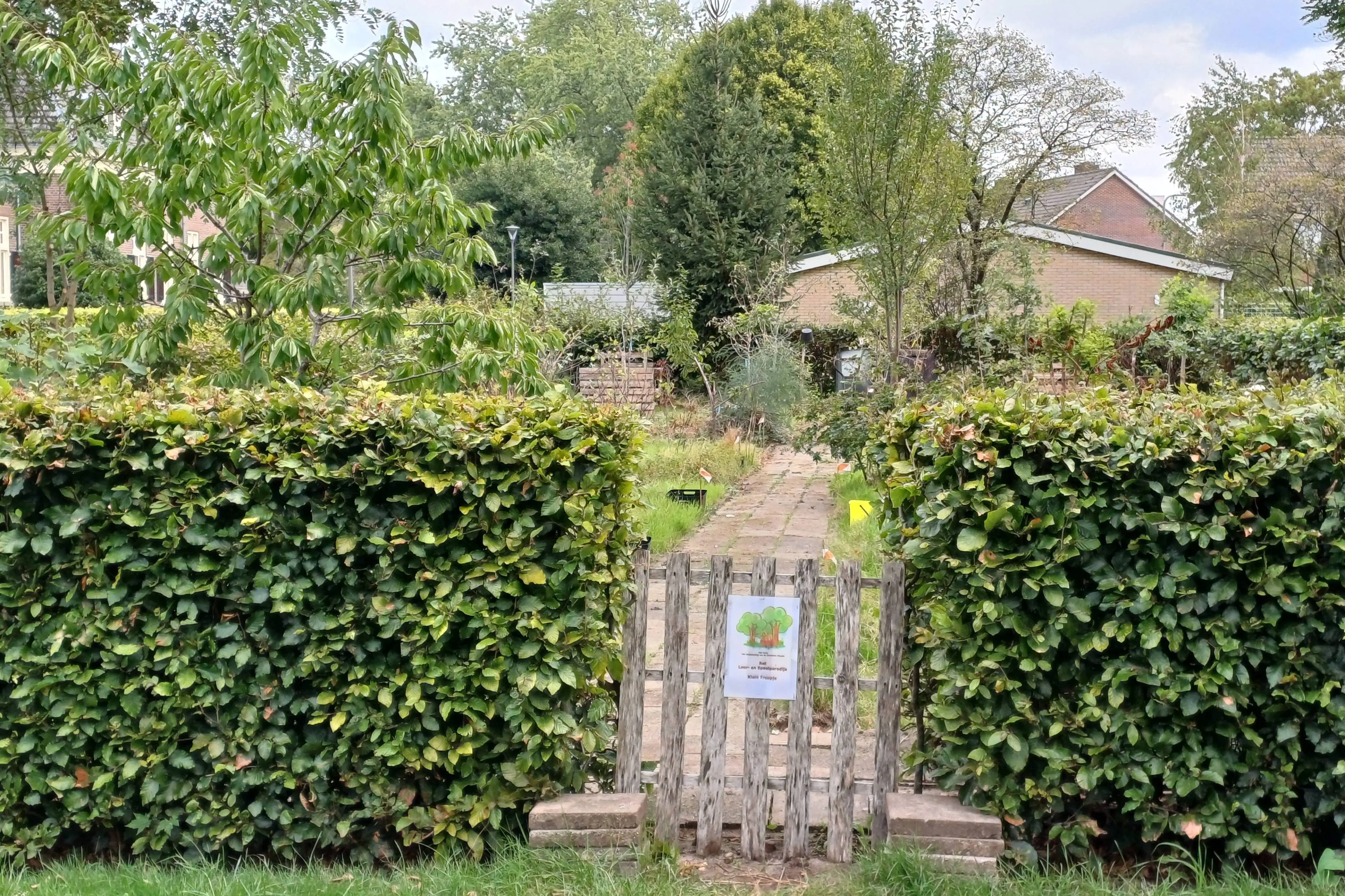 Eco Leer- en Speelparadijs Klein Treupje Dieren - Cathy M. Schaftenaar
