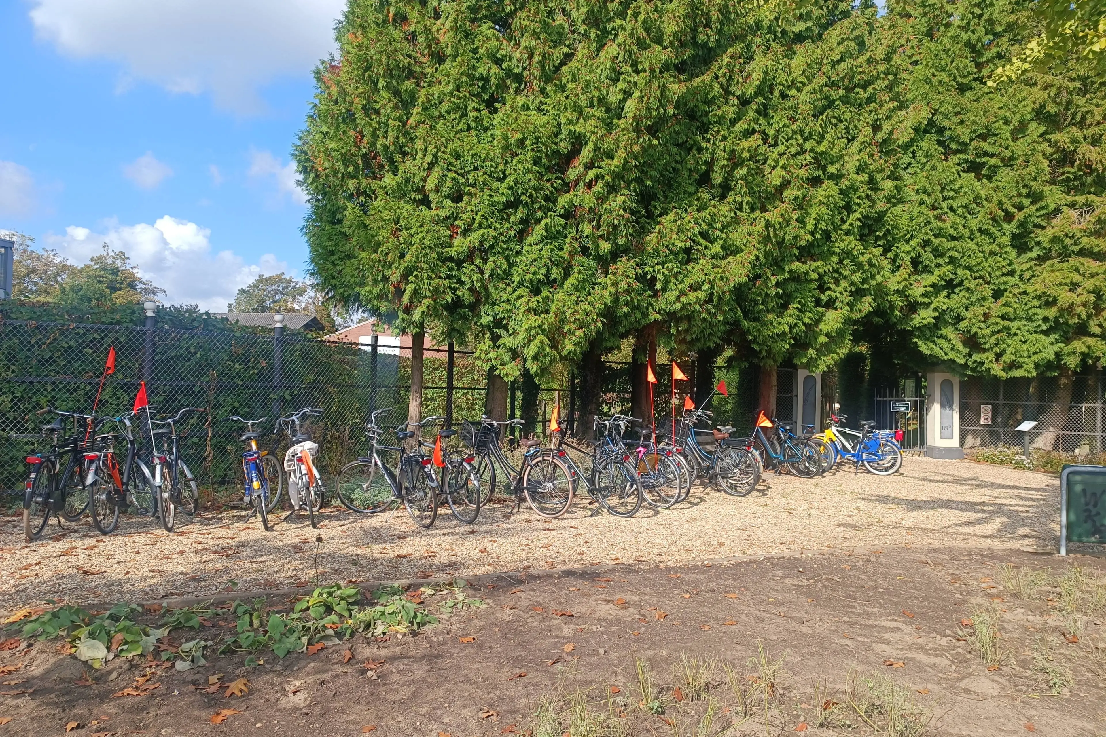 Studenten steken handen uit de mouwen op Oude Begraafplaats in Velp 02-10-26 (4)