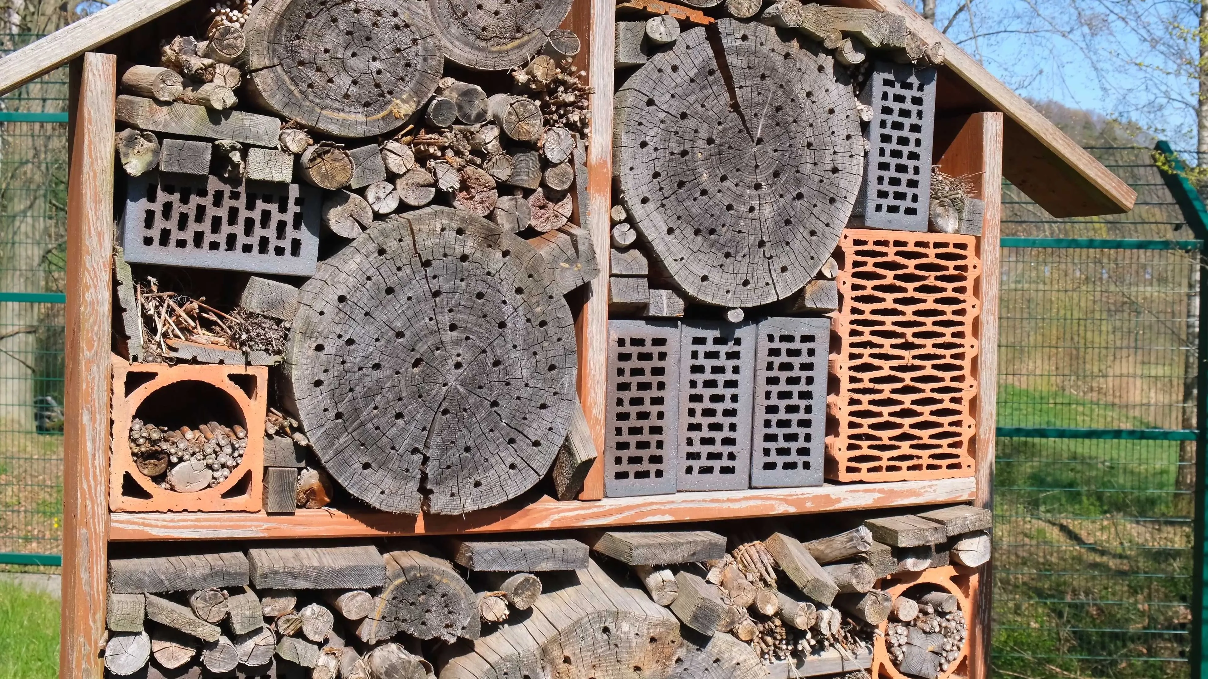 20260228 insectenhotel