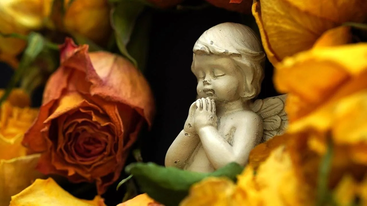 angel 8247278 1280