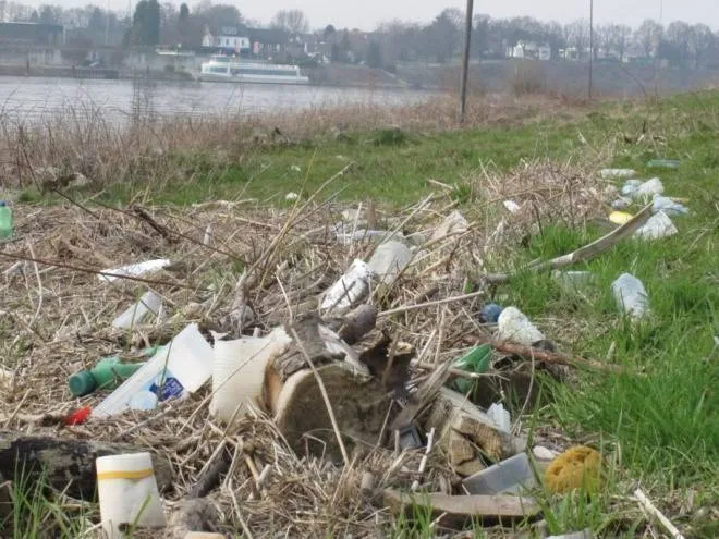 20250329 schone maas