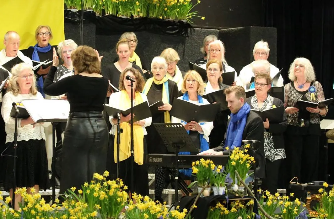 slide4_zankoor_animato_1500x700