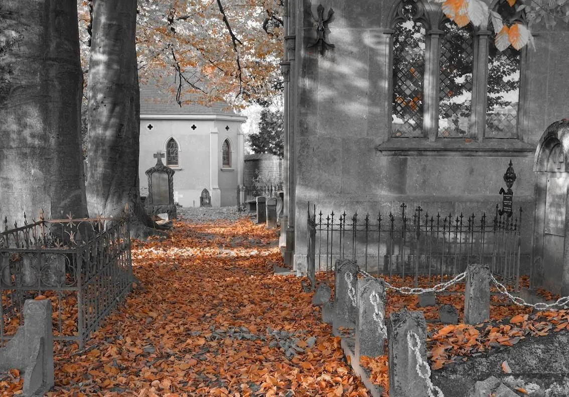 voorbeeld kopie