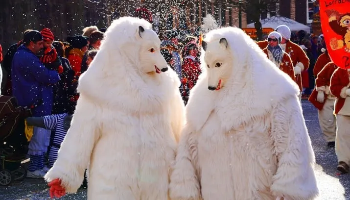 carnavalpakken 715x408